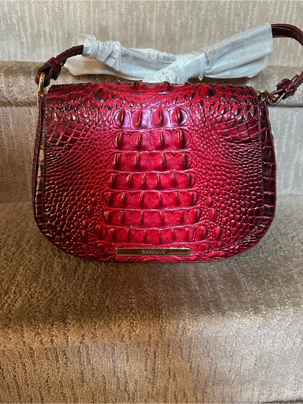 ❤️ NWOT Brahmin Small Nadine Crossbody in Rose Ombré ❤️